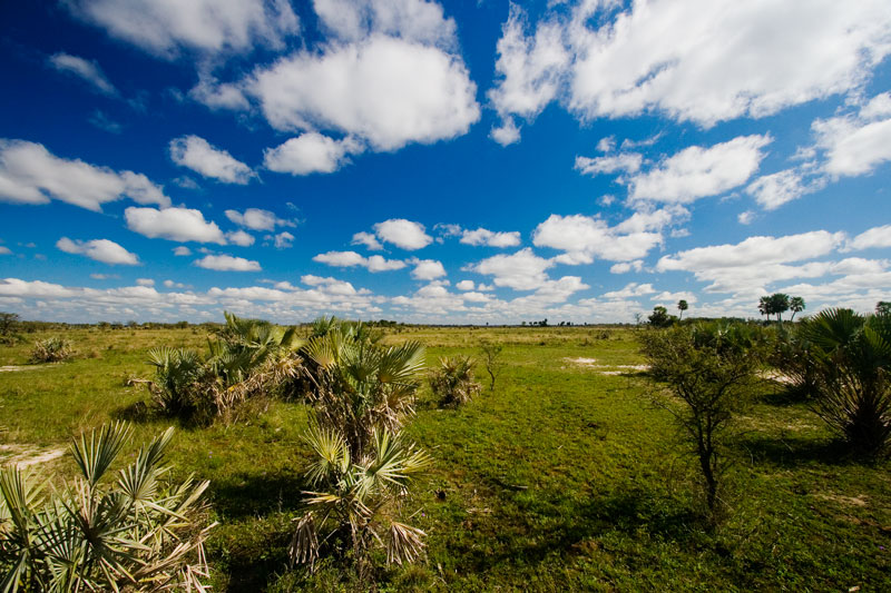 paisaje-ibera.jpg