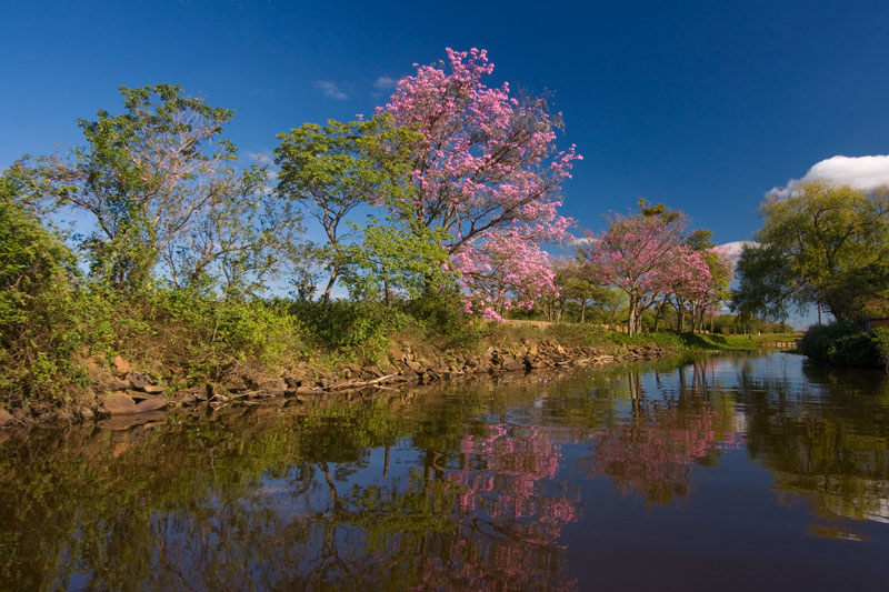 puerto-rosado.jpg