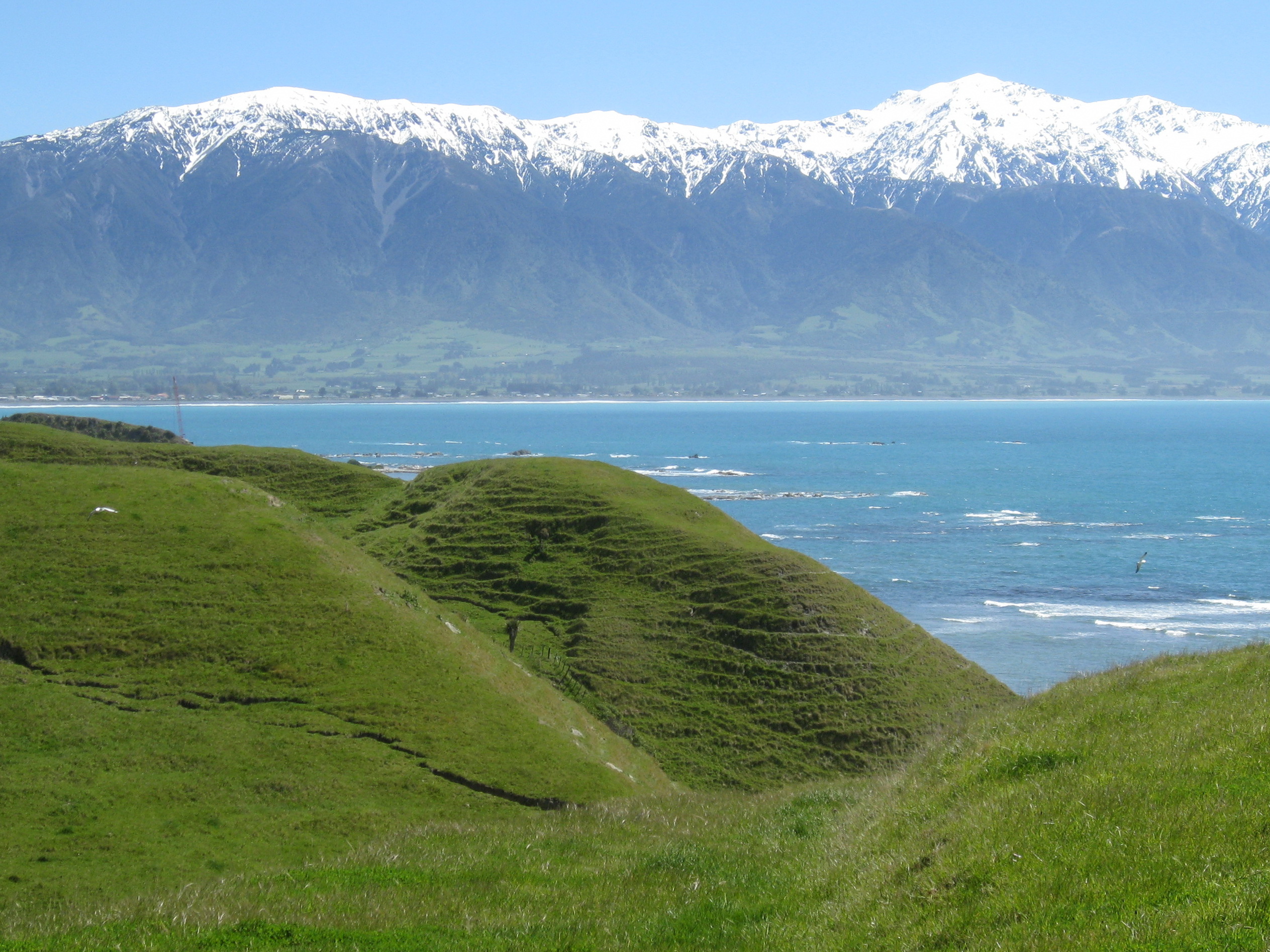 A terraced hill, former site of a Maori village