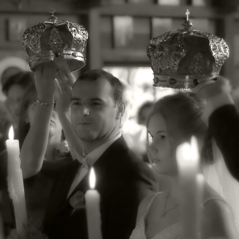 Wedding Day - Winner