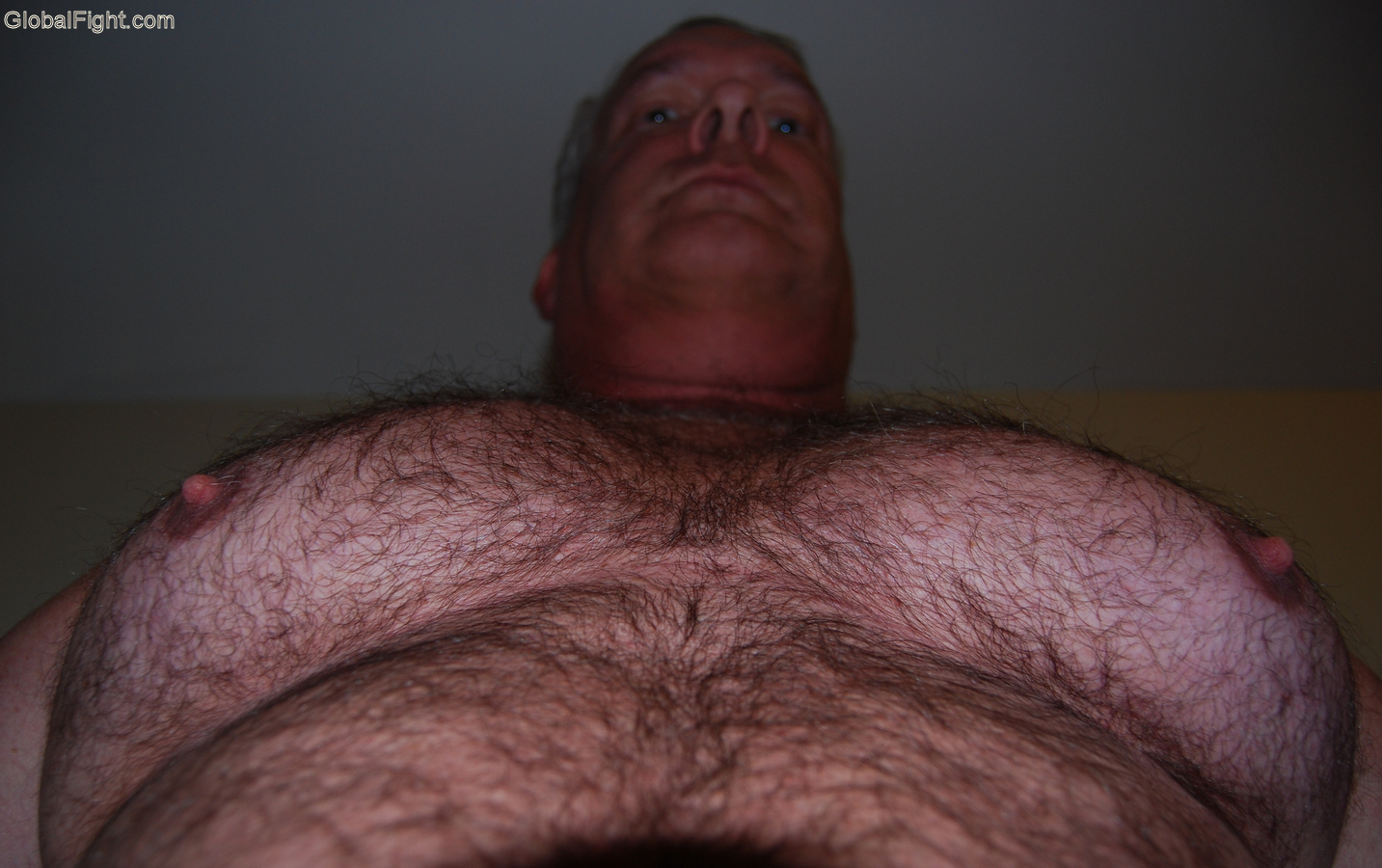 a massive mans big furry nips pecs.jpg
