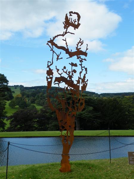 Leftover by Zadok Ben-David