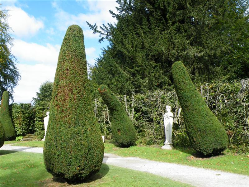 Trees in the Ring Pond garden