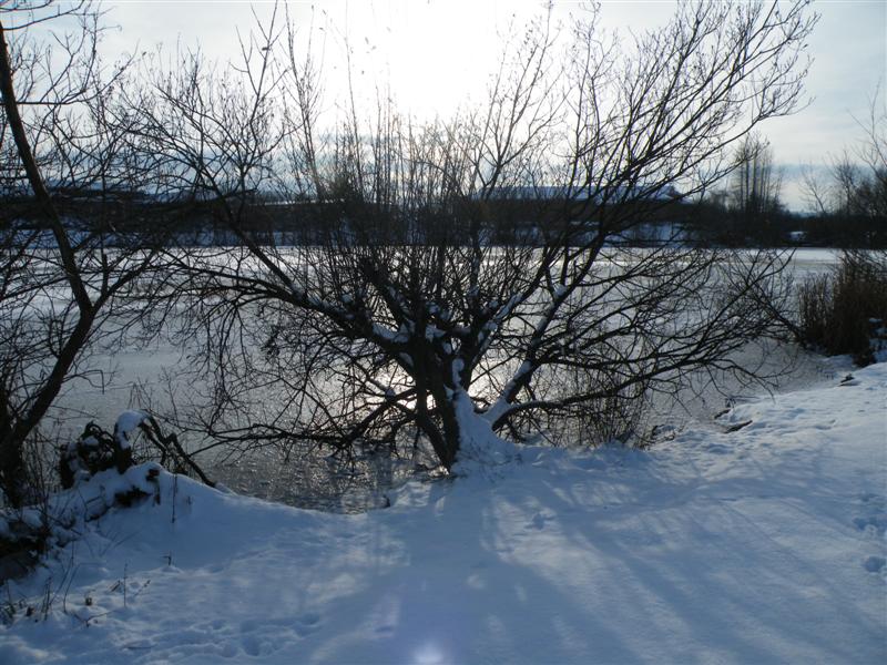 Fendrod Lake 19 Dec 10