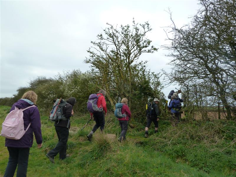 The stile challenge