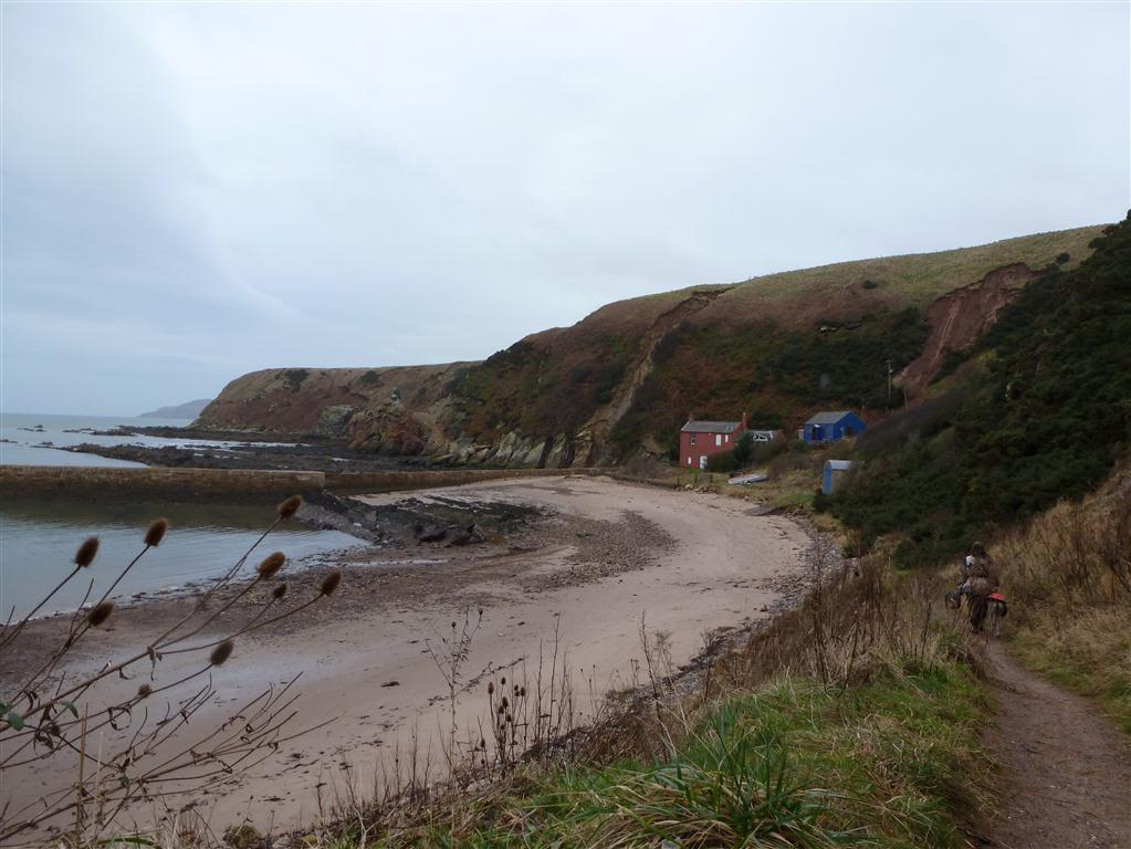 Cove harbour beach