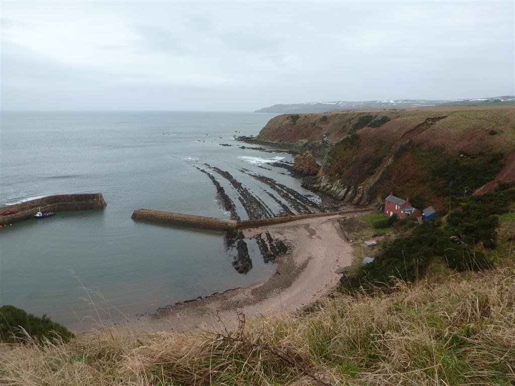 P1050326 (Medium).JPG