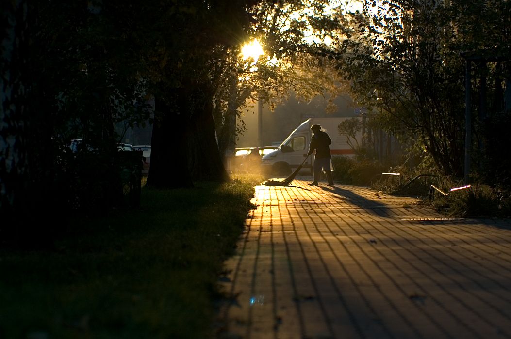 sunrice for TTIC