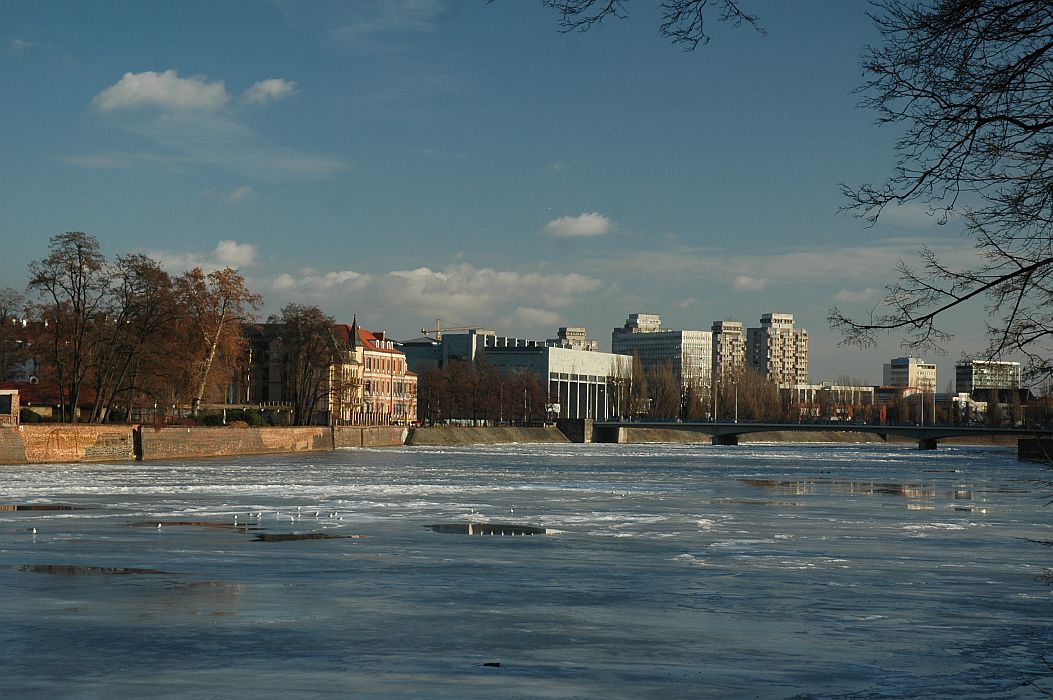 DSC_0114.jpg