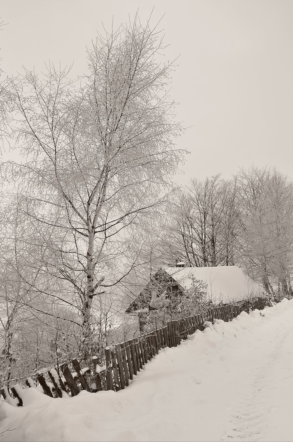 DSC_5369.jpg