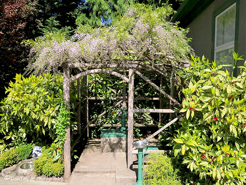 Butchart Gardens