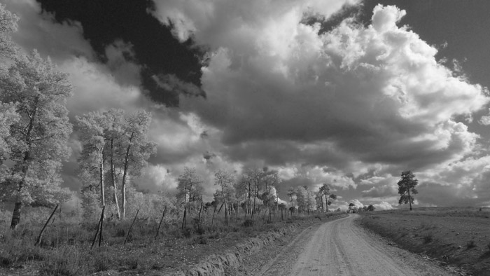 P1000303a.jpg
