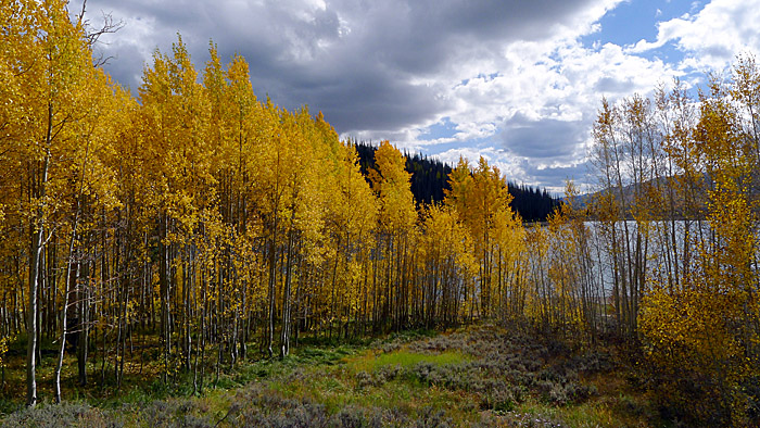 P1000347a.jpg