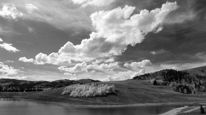 P1000347a.jpg