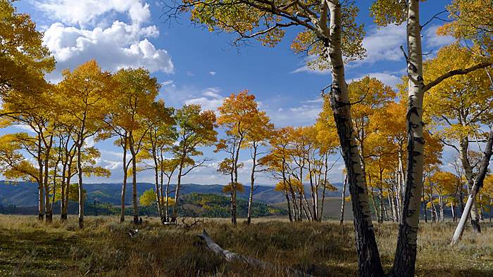P1000289a.jpg