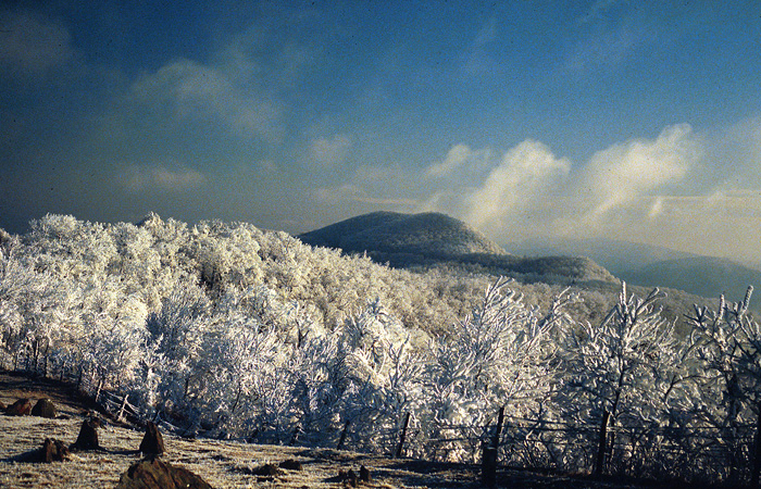 Rime on the Blue Ridge #3