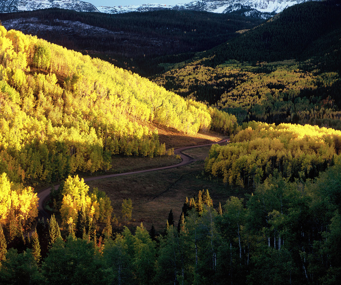 Routt National Forest