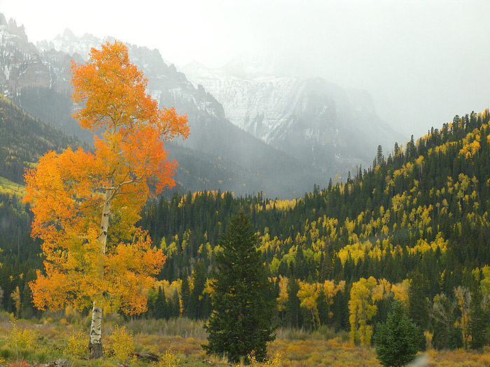 Aspen and Owl Creek Pass