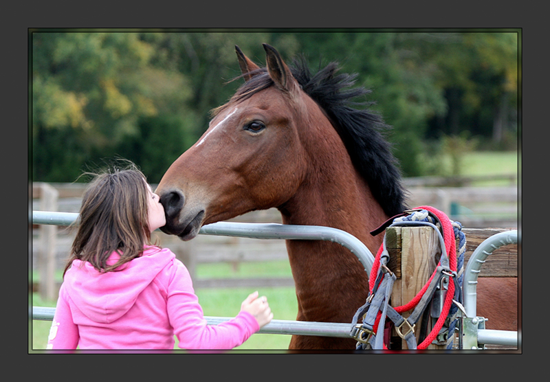 The Horse Kisser