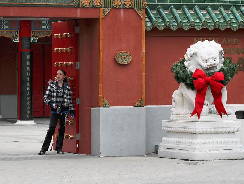 Christmas Lion and Friend