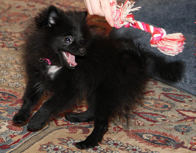 Sophie playing