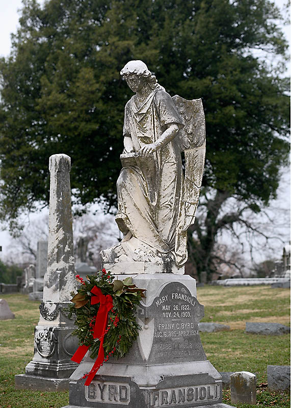 Elmwood_0165