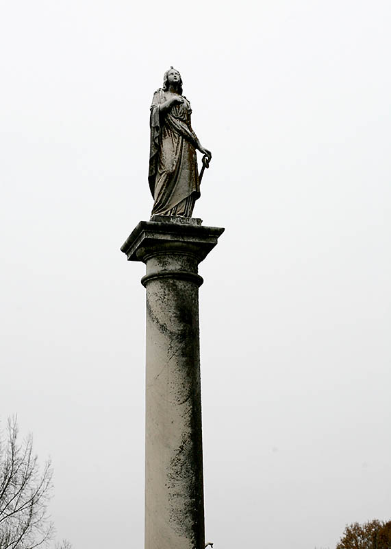 Elmwood_0168