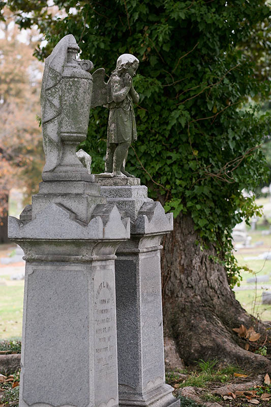 Elmwood_0199
