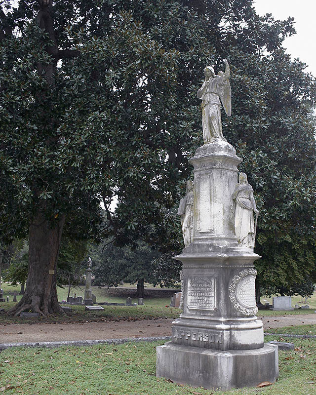Elmwood_0224