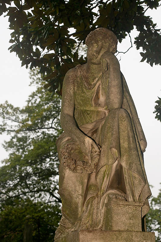 Elmwood_0272