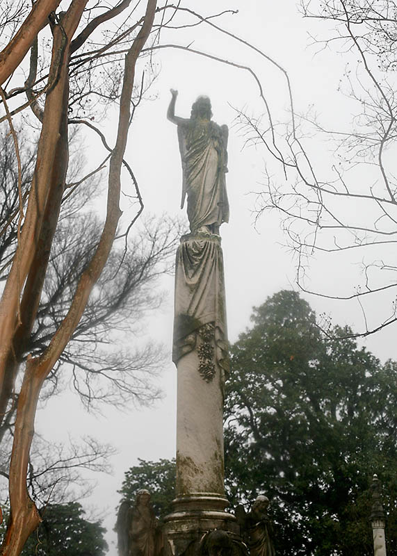 Elmwood_0283