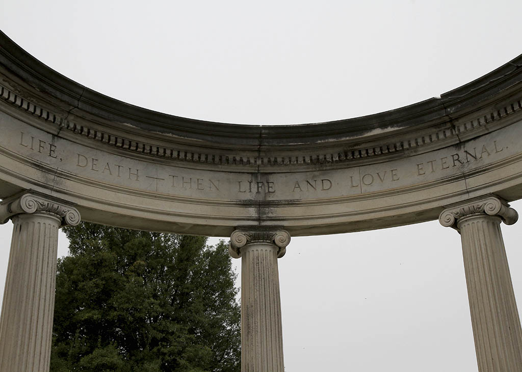 Elmwood_3975