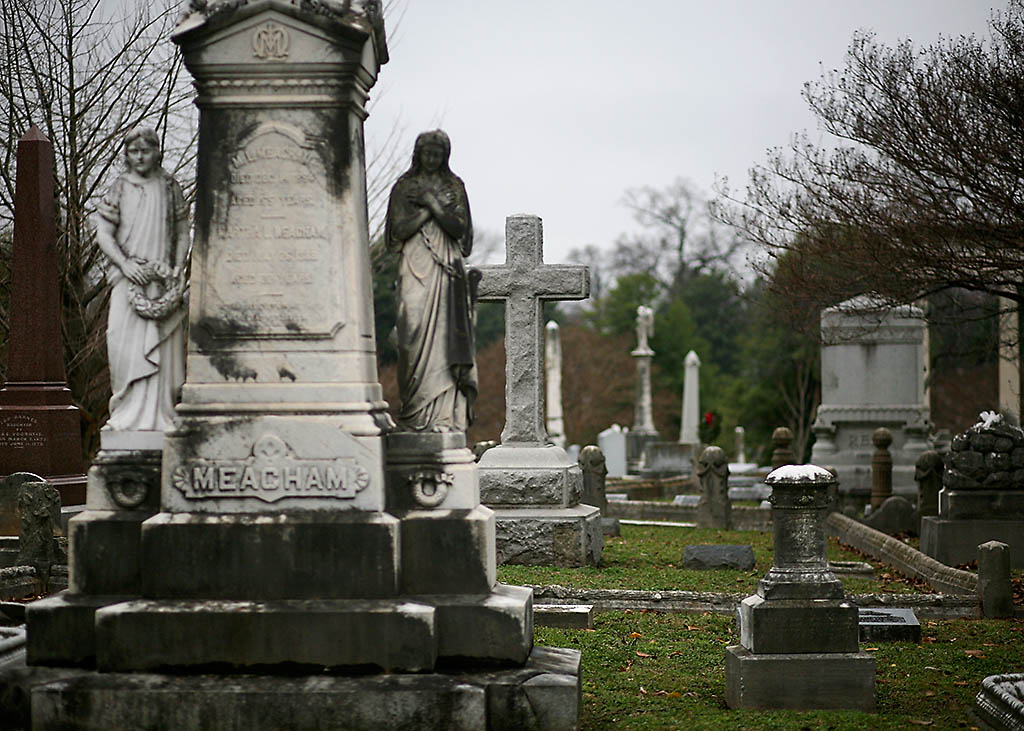 Elmwood_0194