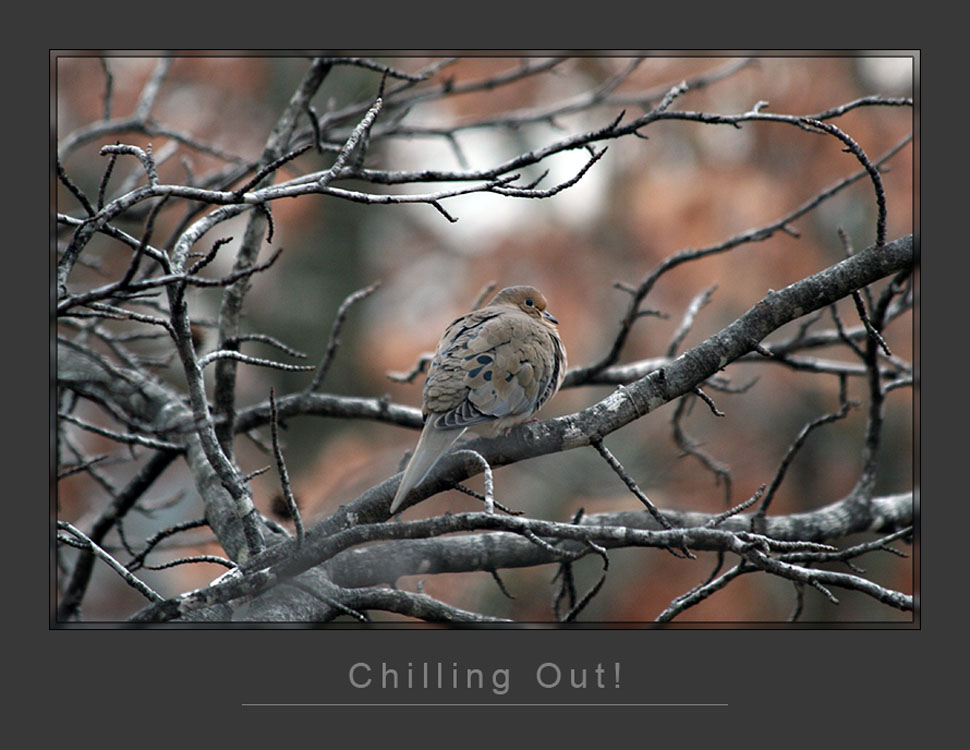 Chilling Out.