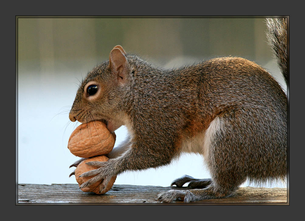 Greedy