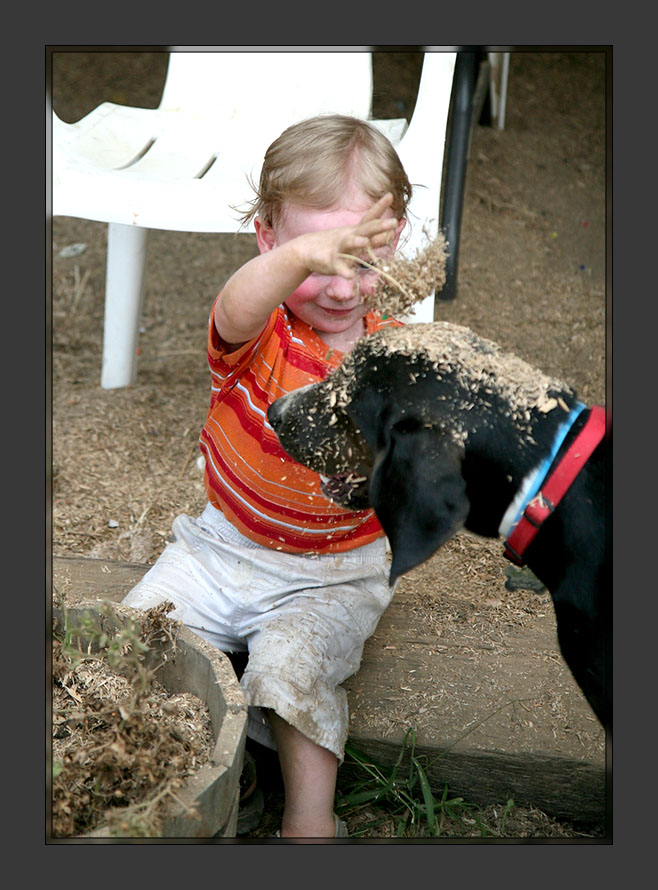 Poor dog