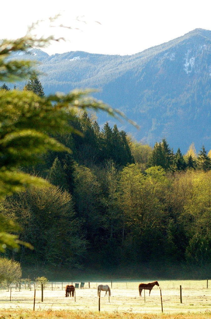 Mount Baker Foothills 2