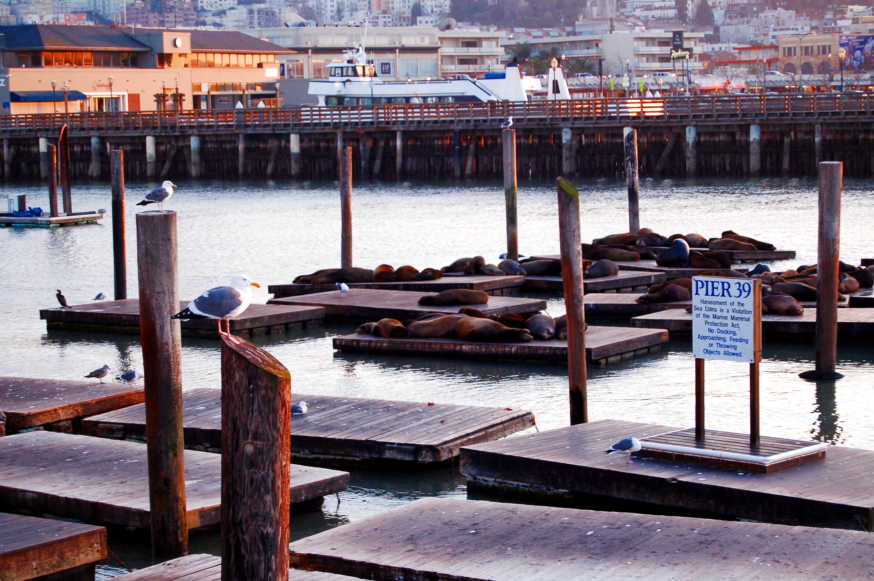 San Francisco - Pier 39
