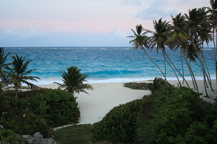 Bottom Bay 2