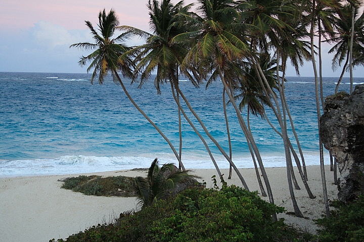Bottom Bay 1