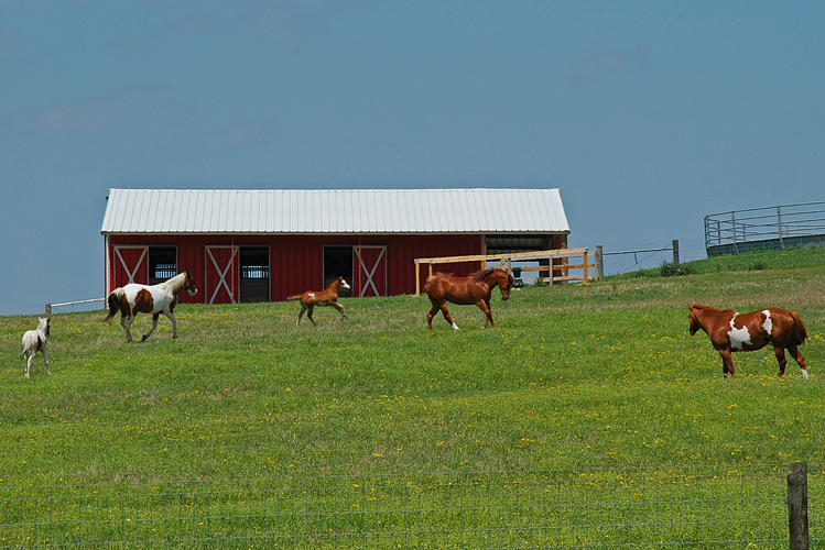 DSC_3729e.jpg