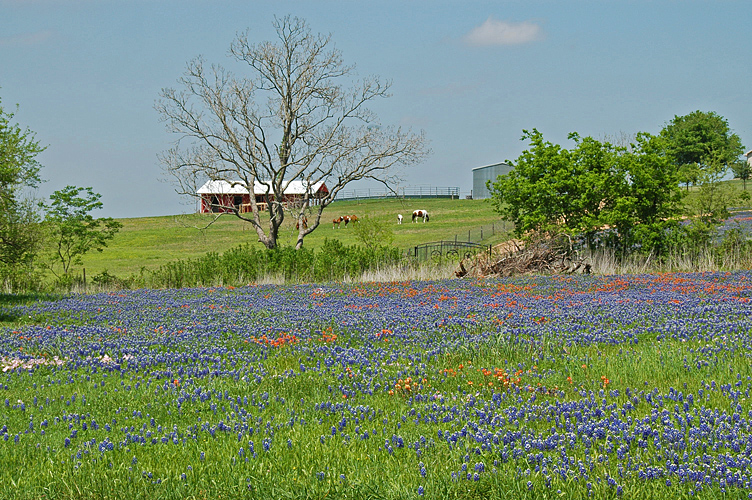DSC_3769e.jpg