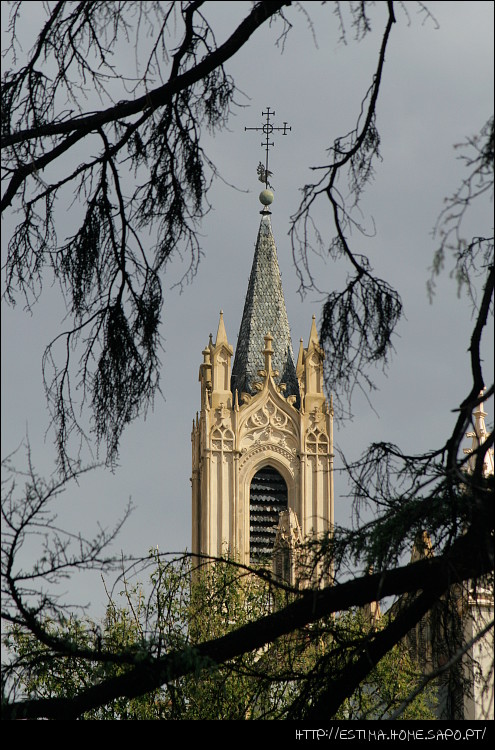 IMG_8167.JPG