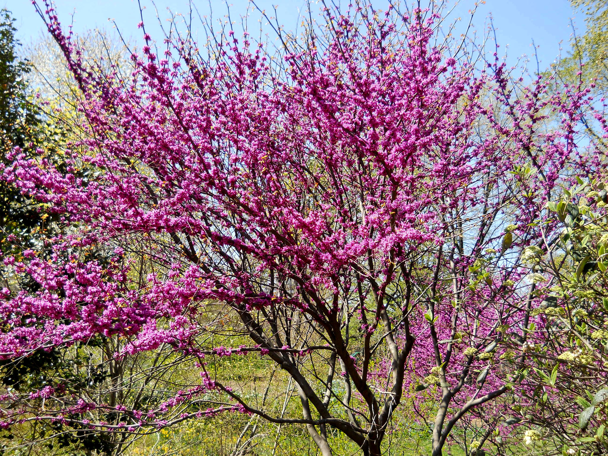 DSCN1677.jpg