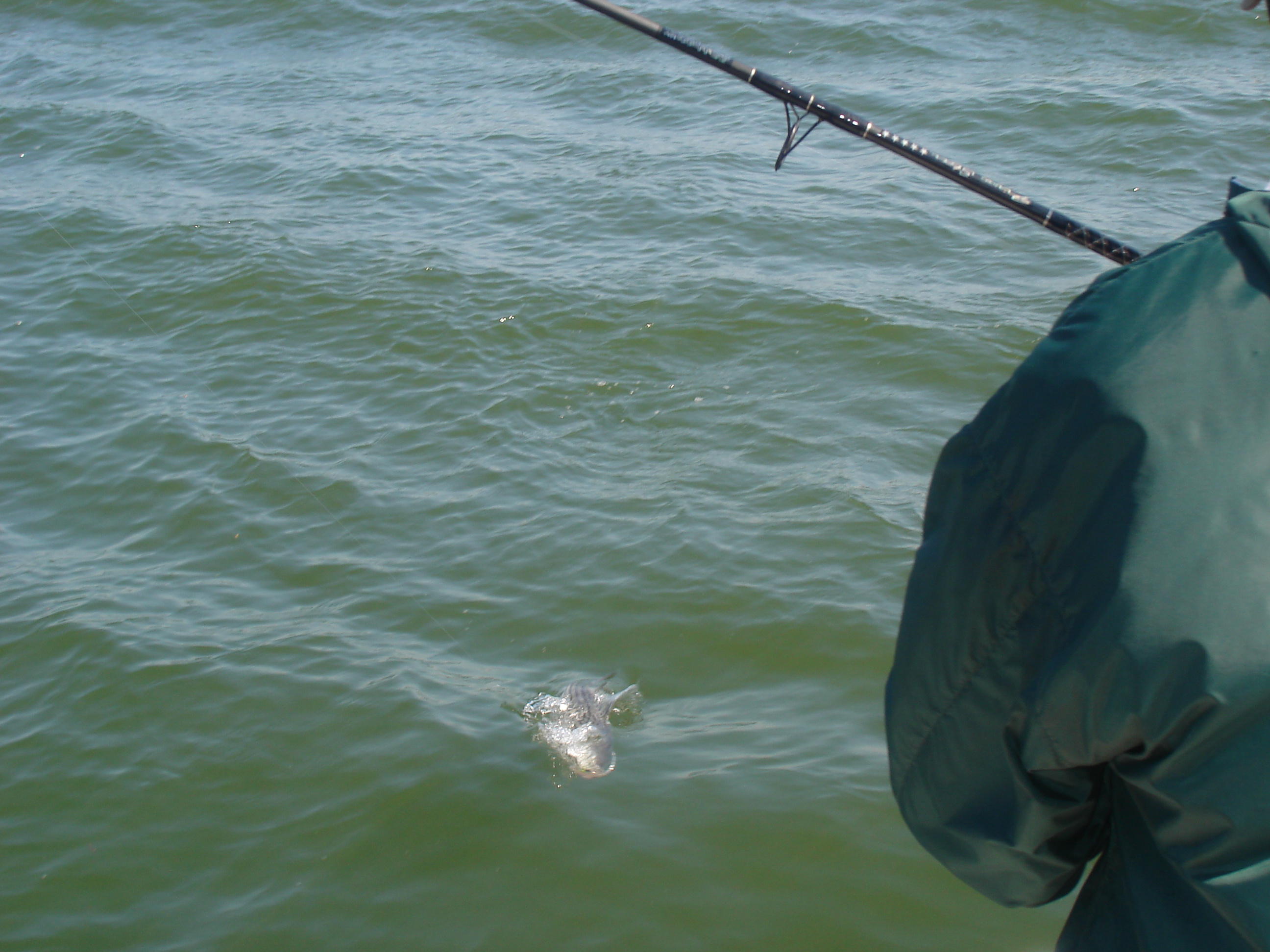 4/3/2007 - Booth Charter - Catch & Release