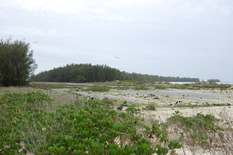 DSC_0239_176.jpg