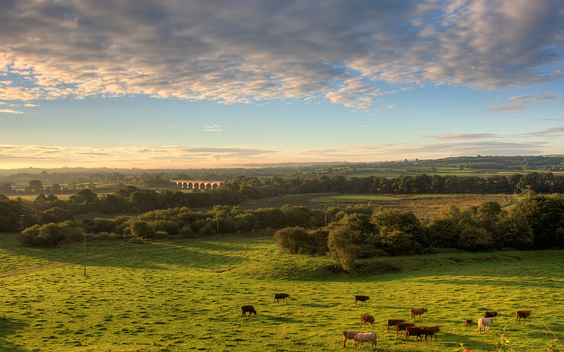 Viaduct after sunrise