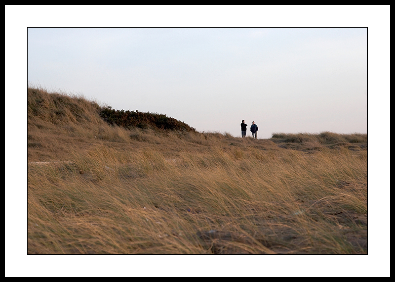 IMG_8151.jpg