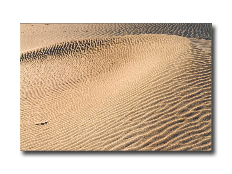 Sand Dunes #2Death Valley Nat'l Park, CA
