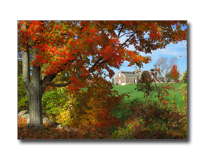 Fall Foliage & BarnGoffstown, NH